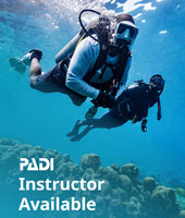 PADI